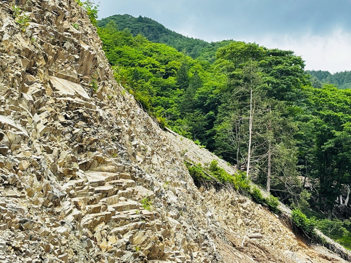 採石場の切り立った岩肌の斜面と、その上に広がる樹林