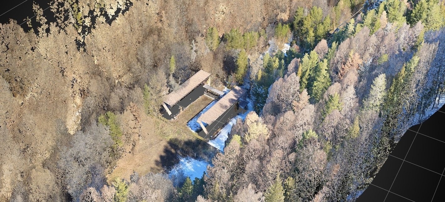 樹木に覆われた斜面と2棟の建物を上空から見た点群データ。木々の点が敷地の大半を覆っている