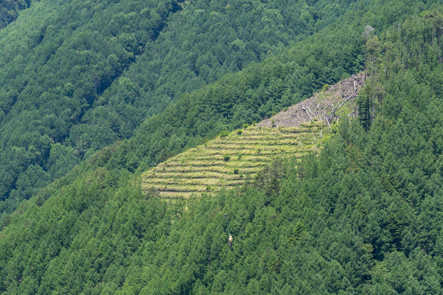 針葉樹の森に囲まれた植林地の急斜面と、その手前を荷を吊り下げて飛ぶ物流ドローン