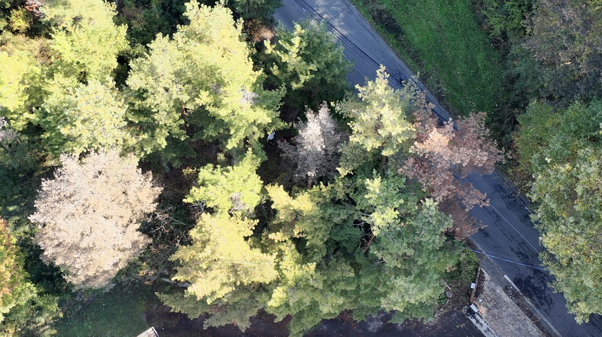 熱源撮影地点付近をドローンで俯瞰した寄りの空撮画像（松本市での検知テスト）