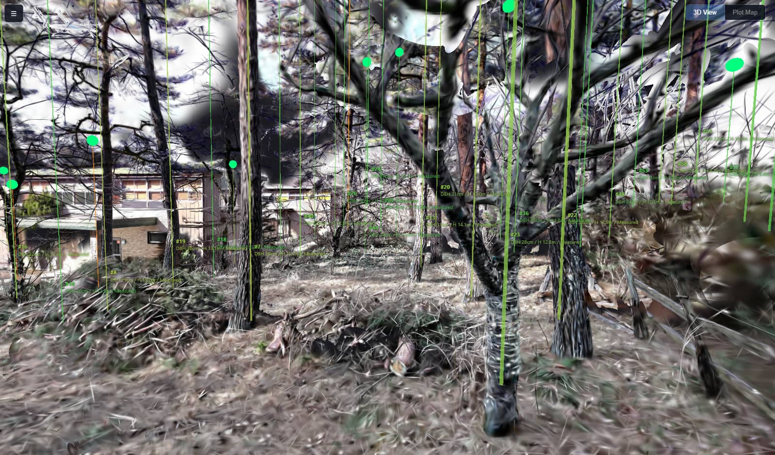 3DGSで再現した林に、木ごとの番号・胸高直径・樹高を重ねて表示した画面