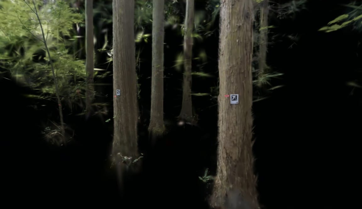 3DGSから藪や地面を取り除き、杉・ヒノキの幹だけを残した林の3Dモデル
