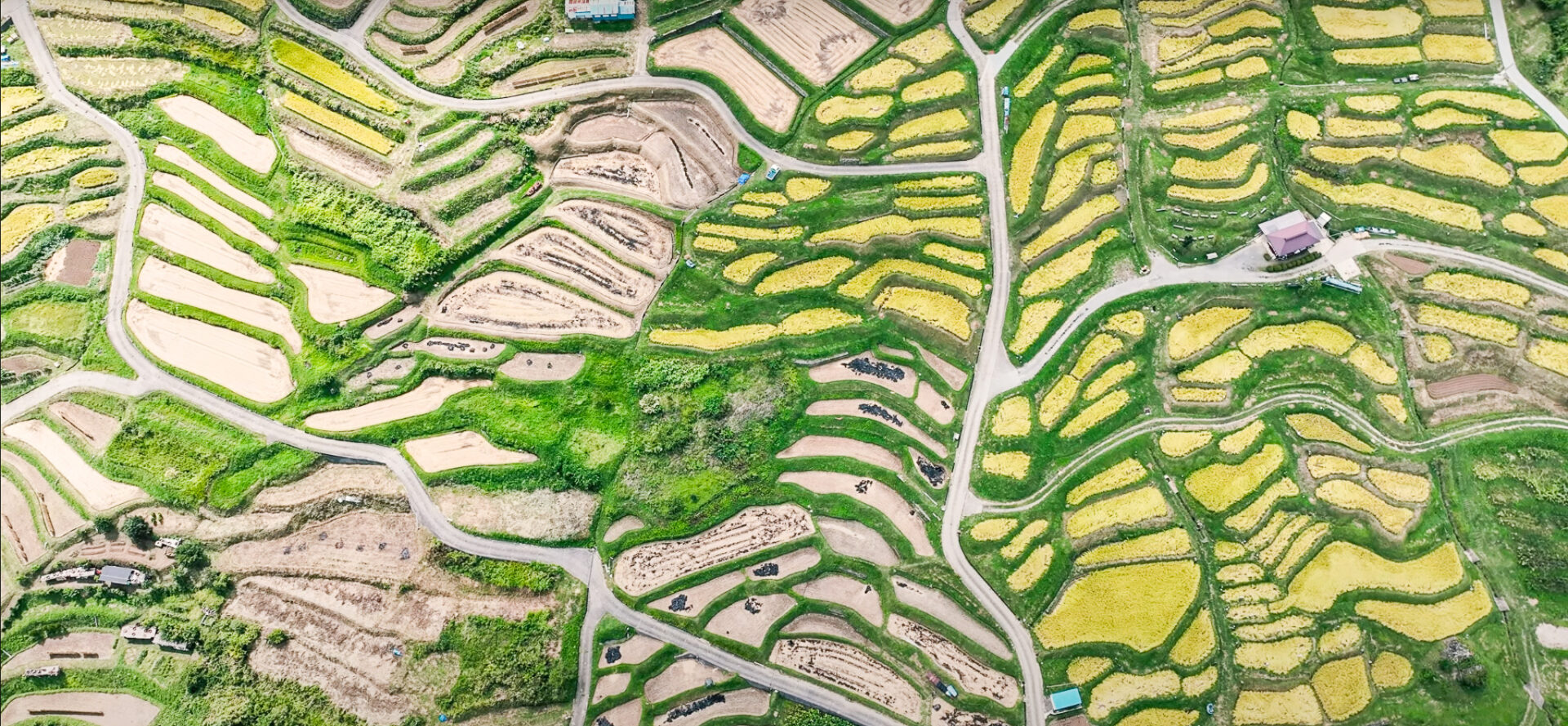背景画像