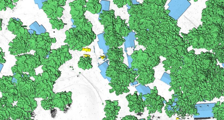 ドローン測量の点群データ分類・樹木等除去サービスとは？最新のワークフローを徹底解説！