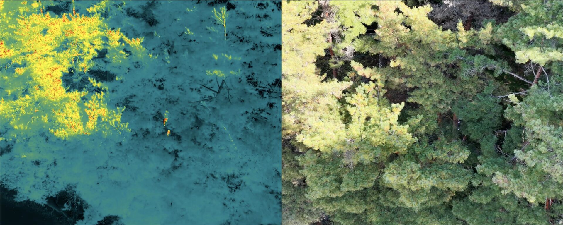 Matrice 400 RTK（H30T）の赤外・可視画像