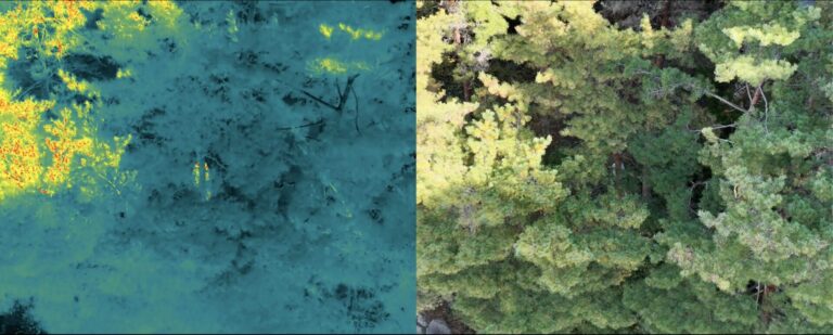 熊対策に備えた赤外線ドローンの見え方検証レポート（松本市）