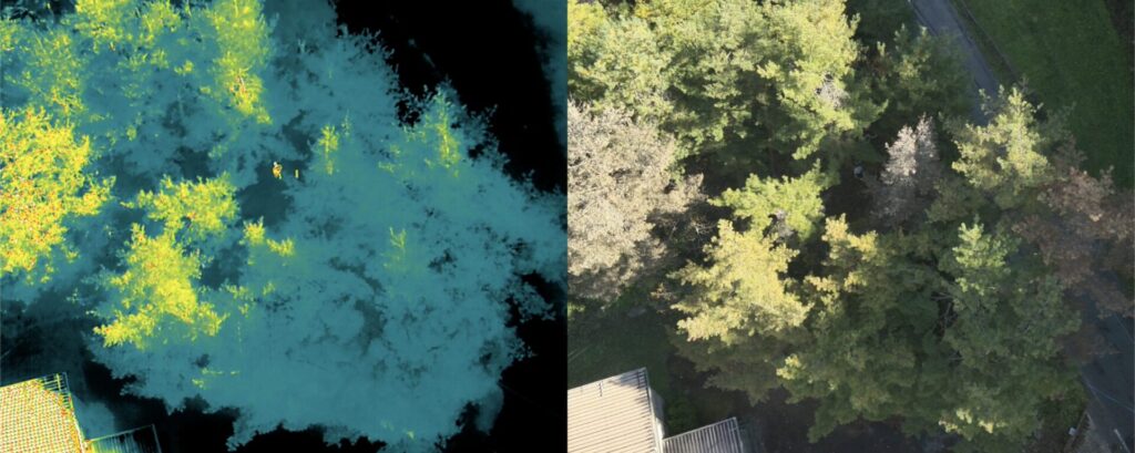 Mavic 3 Thermal の赤外・可視画像